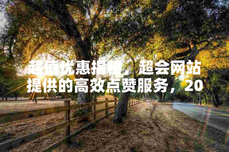 超值优惠揭秘，超会网站提供的高效点赞服务，2025年必备技能！