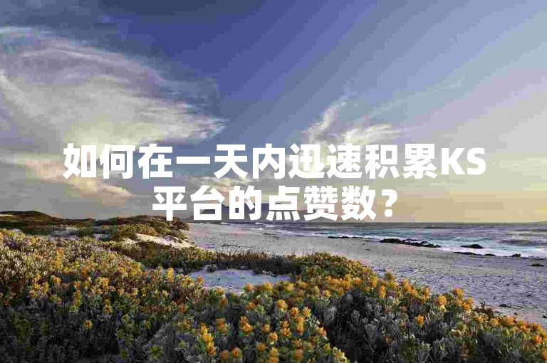 如何在一天内迅速积累KS平台的点赞数？