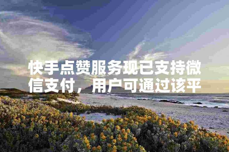 快手点赞服务现已支持微信支付，用户可通过该平台快速完成支付。