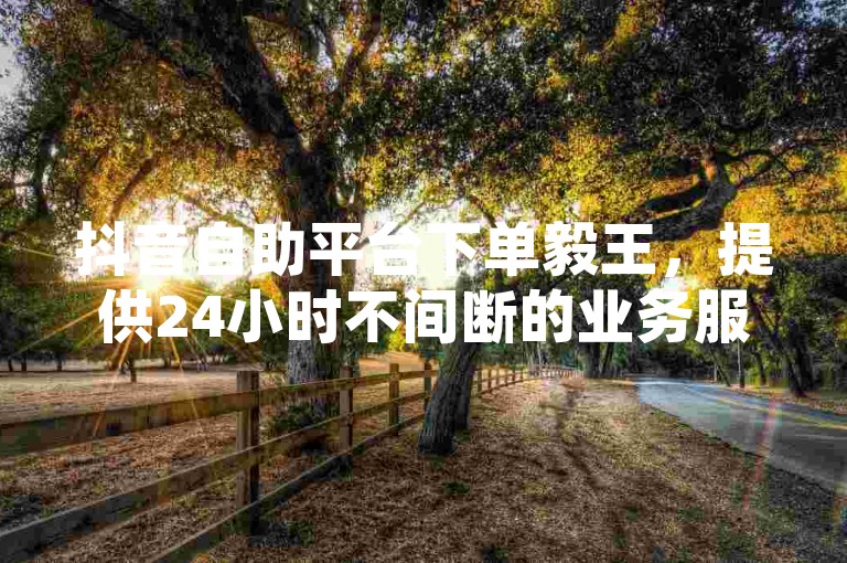 抖音自助平台下单毅王，提供24小时不间断的业务服务。
