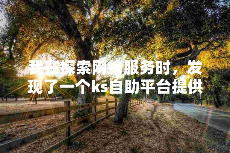 我在探索网络服务时，发现了一个ks自助平台提供低价下单服务，同时还有dy评论刷赞的自助下单选项。