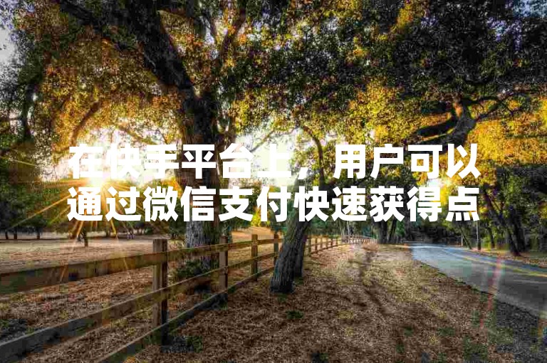 在快手平台上，用户可以通过微信支付快速获得点赞，同时，快手的充值服务也为用户提供了便利，此外，还有低价的KS点赞商城和网易游戏点卡代理服务可供选择。