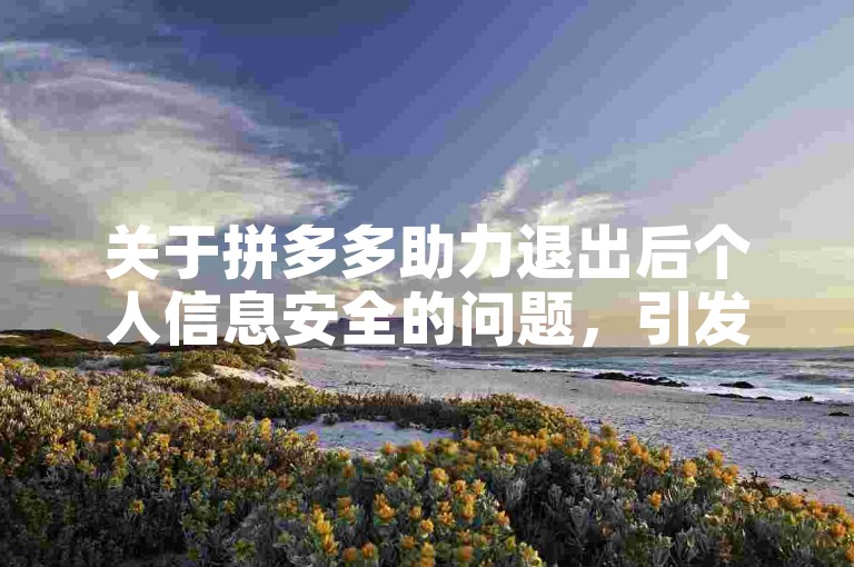 关于拼多多助力退出后个人信息安全的问题，引发了广泛的讨论与关注。