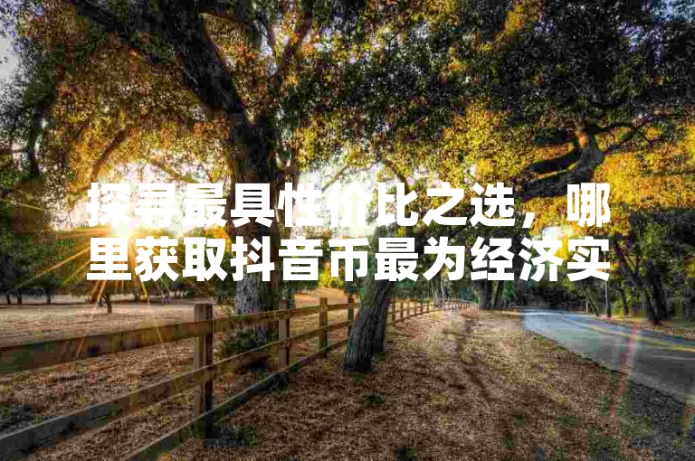 探寻最具性价比之选，哪里获取抖音币最为经济实惠