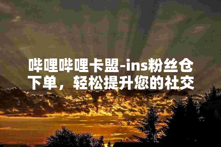 哔哩哔哩卡盟-ins粉丝仓下单，轻松提升您的社交媒体影响力。