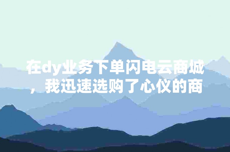 在dy业务下单闪电云商城，我迅速选购了心仪的商品。