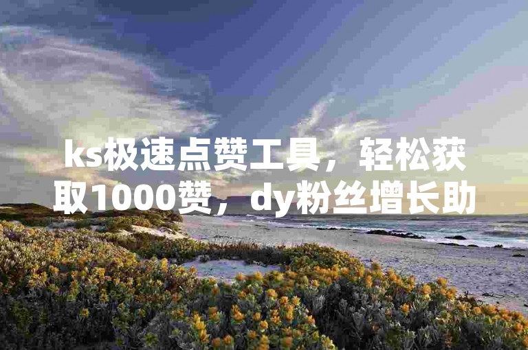 ks极速点赞工具，轻松获取1000赞，dy粉丝增长助手，全天候专业点赞团队随时待命。