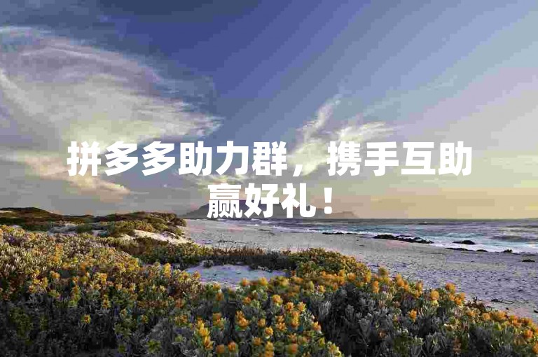拼多多助力群，携手互助赢好礼！