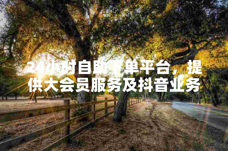 24小时自助下单平台，提供大会员服务及抖音业务在线免费下单。