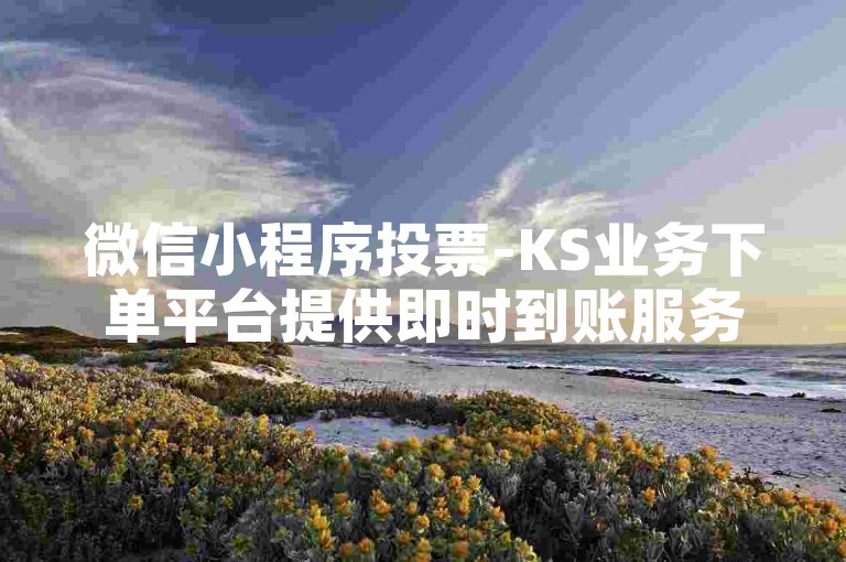 微信小程序投票-KS业务下单平台提供即时到账服务，仅需1元即可获得100赞的自助下单体验。