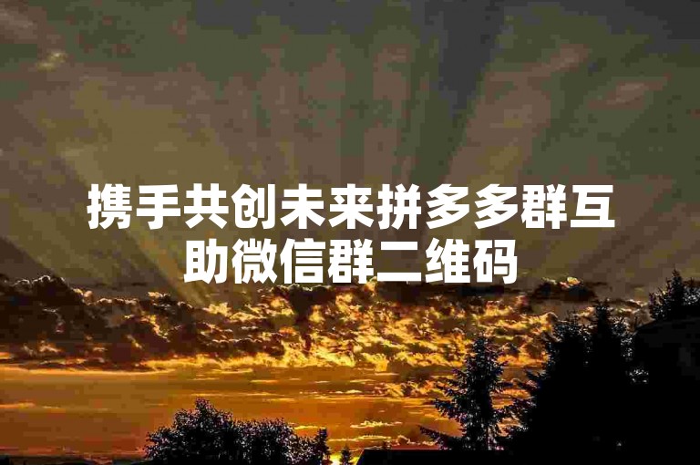 携手共创未来拼多多群互助微信群二维码