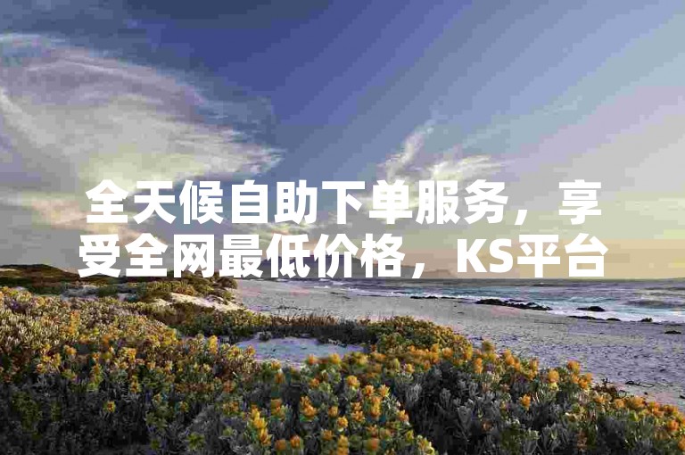 全天候自助下单服务，享受全网最低价格，KS平台24小时随时待命，卡盟自助下单便捷高效。