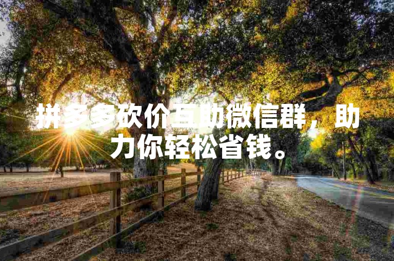 拼多多砍价互助微信群，助力你轻松省钱。