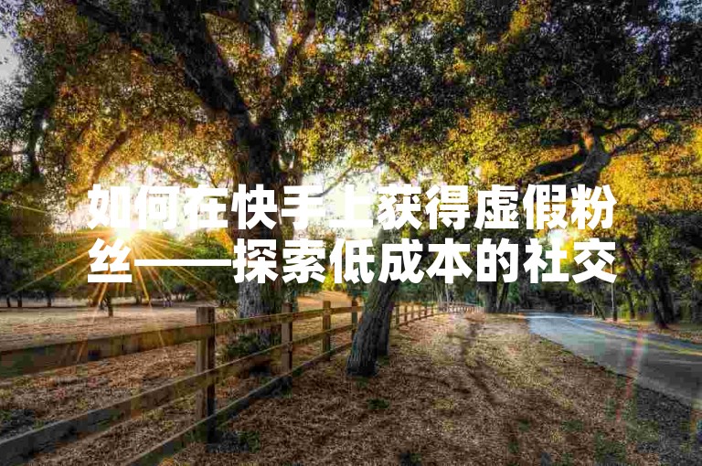 如何在快手上获得虚假粉丝——探索低成本的社交媒体推广服务。