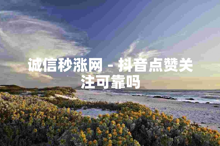 诚信秒涨网 - 抖音点赞关注可靠吗