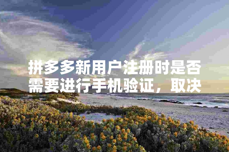 拼多多新用户注册时是否需要进行手机验证，取决于多多助力软件的具体要求。