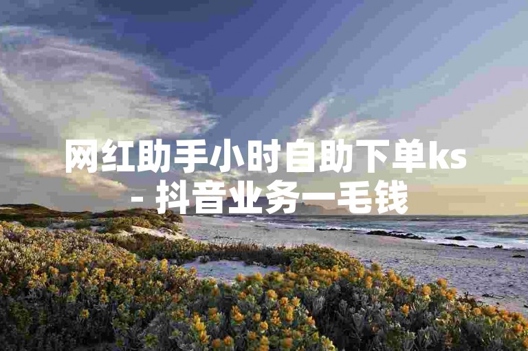 网红助手小时自助下单ks - 抖音业务一毛钱