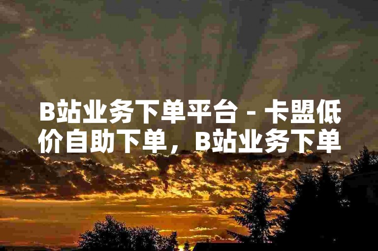 B站业务下单平台 - 卡盟低价自助下单，B站业务下单平台 - 卡盟低价自助下单