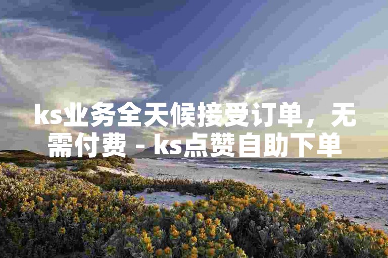 ks业务全天候接受订单，无需付费 - ks点赞自助下单官方网站