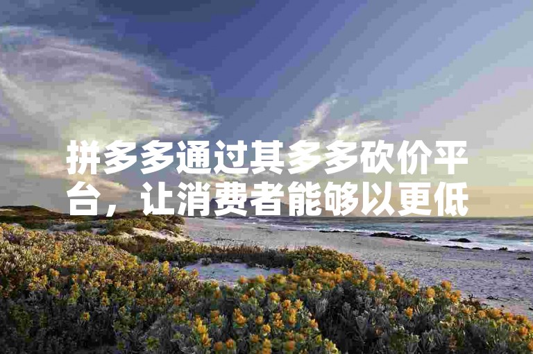 拼多多通过其多多砍价平台，让消费者能够以更低的价格购买到心仪的商品。