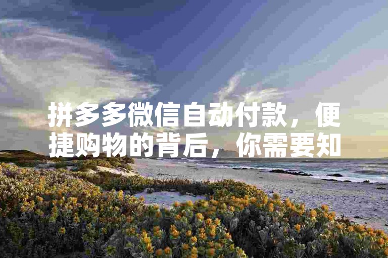 拼多多微信自动付款，便捷购物的背后，你需要知道的事，确保账户安全，避免过度消费。