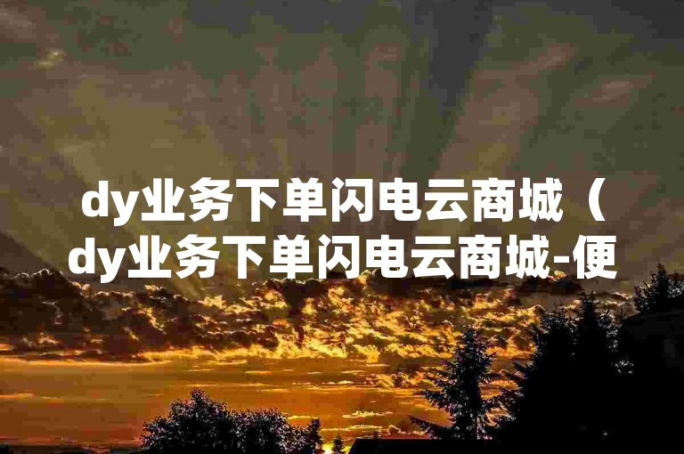 dy业务下单闪电云商城（dy业务下单闪电云商城-便捷快速购物体验）