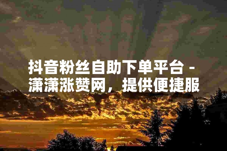 抖音粉丝自助下单平台 - 潇潇涨赞网，提供便捷服务。