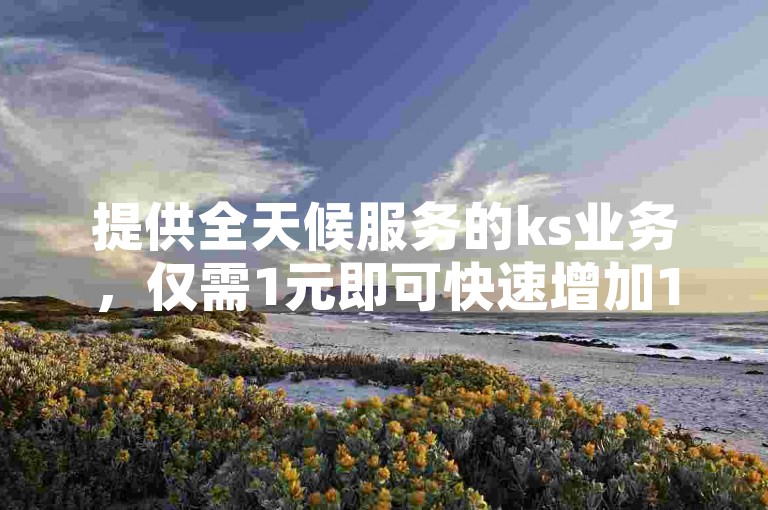 提供全天候服务的ks业务，仅需1元即可快速增加1000名粉丝。