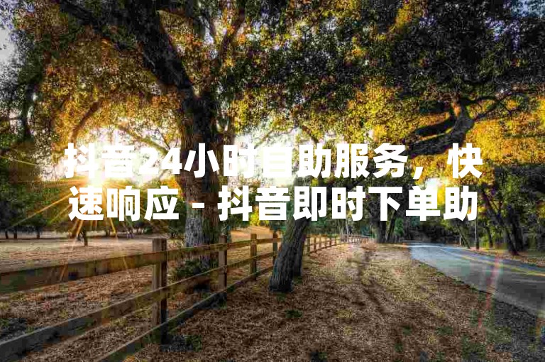 抖音24小时自助服务，快速响应 - 抖音即时下单助手。