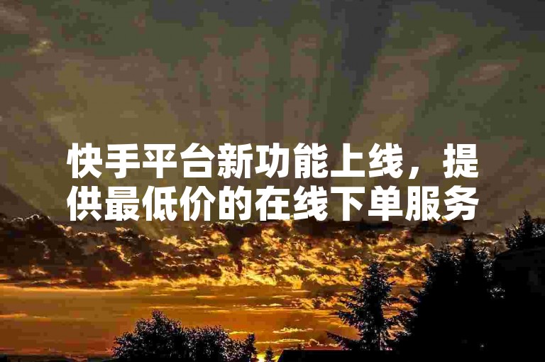 快手平台新功能上线，提供最低价的在线下单服务！
