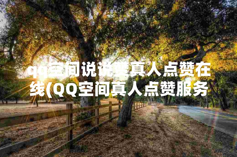 qq空间说说赞真人点赞在线(QQ空间真人点赞服务)