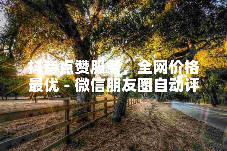 抖音点赞服务，全网价格最优 - 微信朋友圈自动评论。