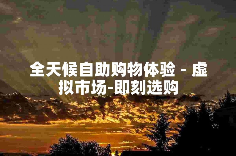 全天候自助购物体验 - 虚拟市场-即刻选购