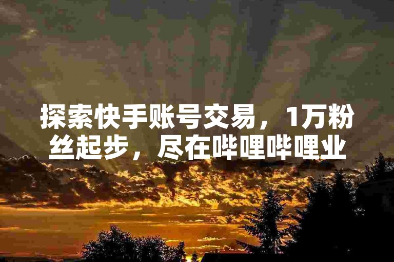 探索快手账号交易，1万粉丝起步，尽在哔哩哔哩业务自助平台。
