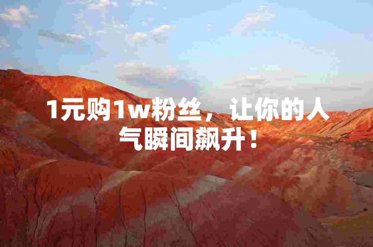 1元购1w粉丝，让你的人气瞬间飙升！