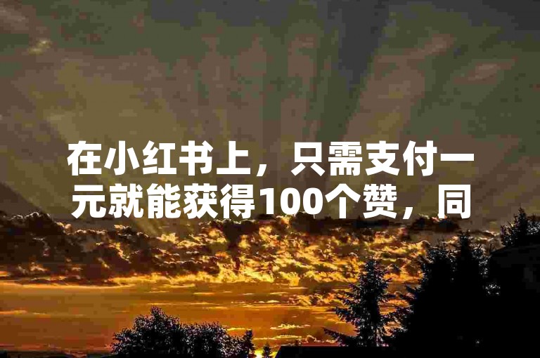 在小红书上，只需支付一元就能获得100个赞，同时快手也提供同样的服务，而抖音则可以免费增加播放量。