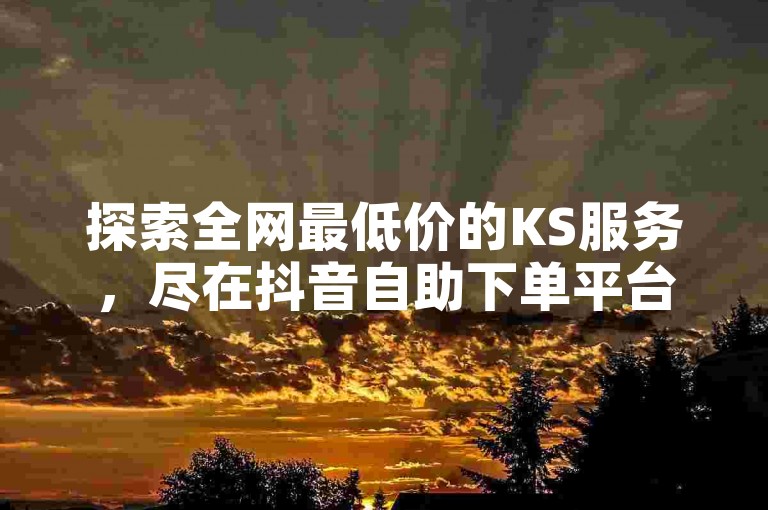 探索全网最低价的KS服务，尽在抖音自助下单平台，一键直达优惠。
