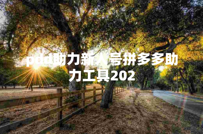 pdd助力新人号拼多多助力工具2025，轻松提升新用户活跃度。