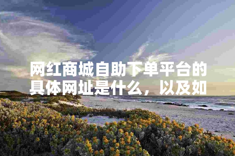 网红商城自助下单平台的具体网址是什么，以及如何操作使用这个平台的详细指南？
