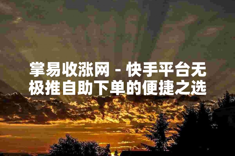 掌易收涨网 - 快手平台无极推自助下单的便捷之选。