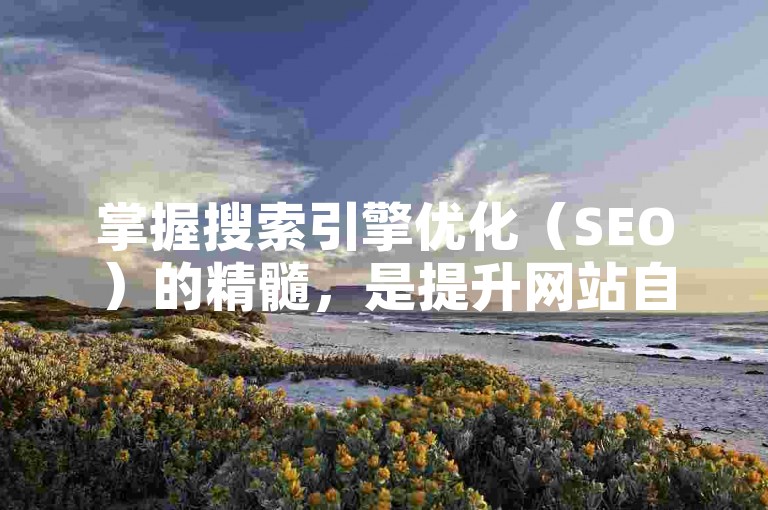 掌握搜索引擎优化（SEO）的精髓，是提升网站自助下单页面流量的关键所在。