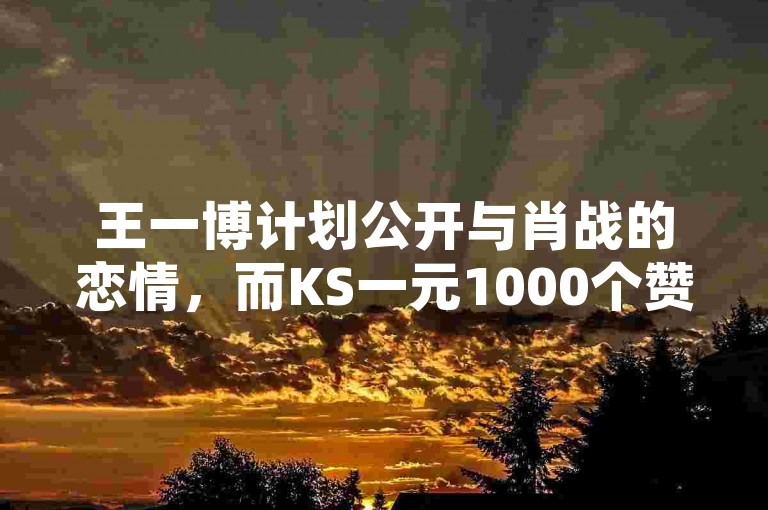 王一博计划公开与肖战的恋情，而KS一元1000个赞秒到软件则是一种网络推广工具。