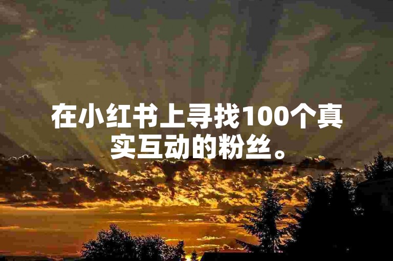 在小红书上寻找100个真实互动的粉丝。