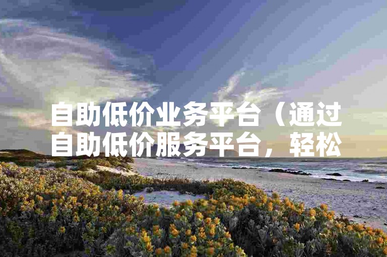 自助低价业务平台（通过自助低价服务平台，轻松实现成本控制）
