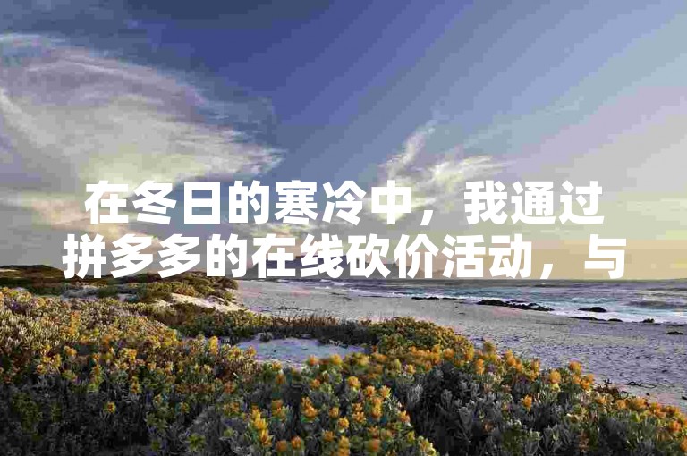 在冬日的寒冷中，我通过拼多多的在线砍价活动，与朋友们一起热情地互帮互助，享受着购物带来的乐趣。