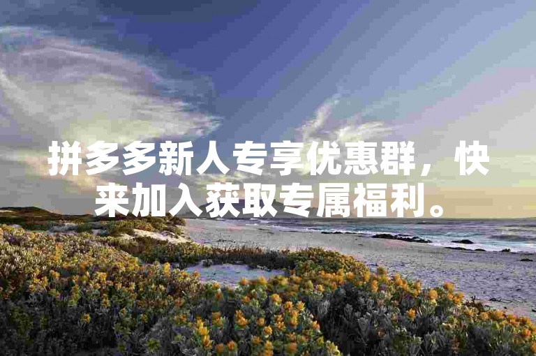拼多多新人专享优惠群，快来加入获取专属福利。