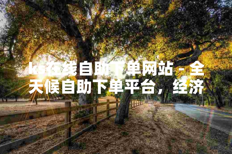ks在线自助下单网站 - 全天候自助下单平台，经济实惠的网易云服务。