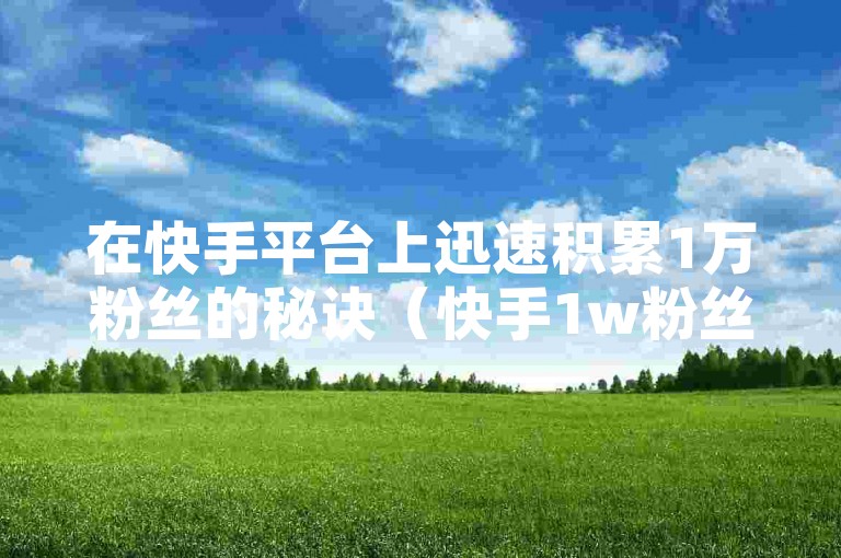 在快手平台上迅速积累1万粉丝的秘诀（快手1w粉丝在线，如何在快手平台上快速获得1万粉丝）。