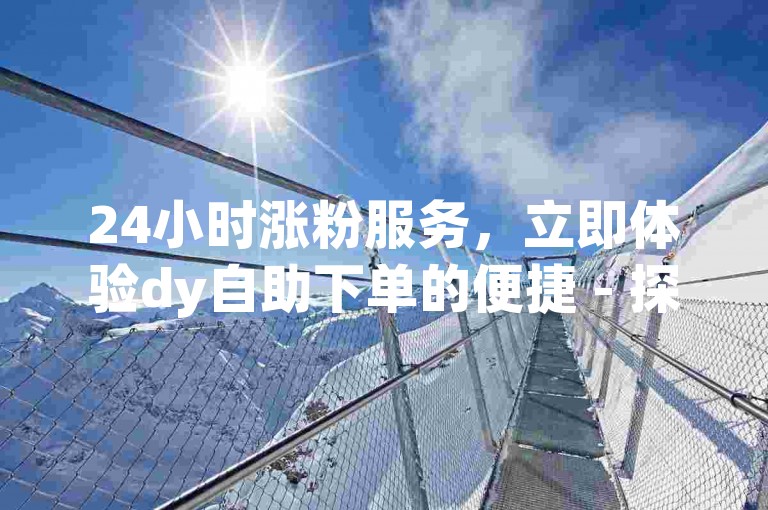 24小时涨粉服务，立即体验dy自助下单的便捷 - 探索ks免费涨粉平台，快手业务首选子萧网，引领行业新风尚！