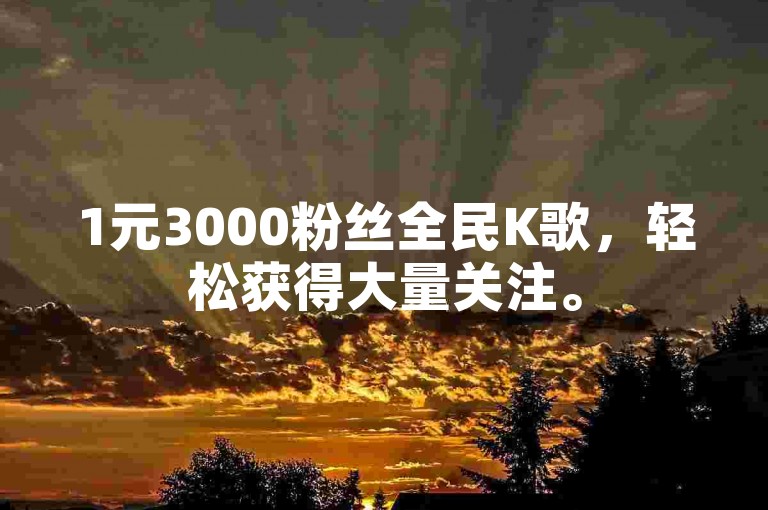 1元3000粉丝全民K歌，轻松获得大量关注。